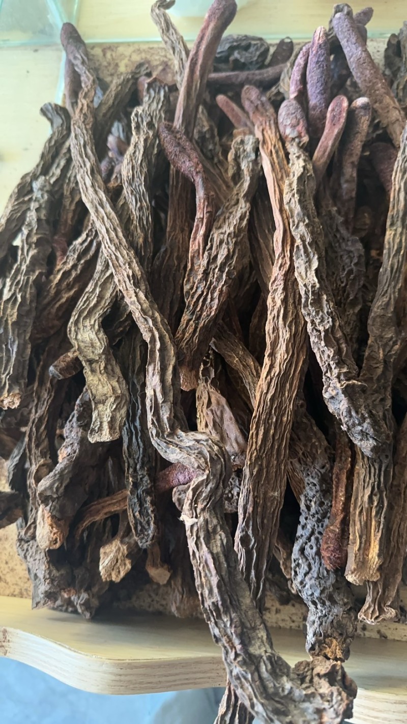 阿拉善金锁阳批发