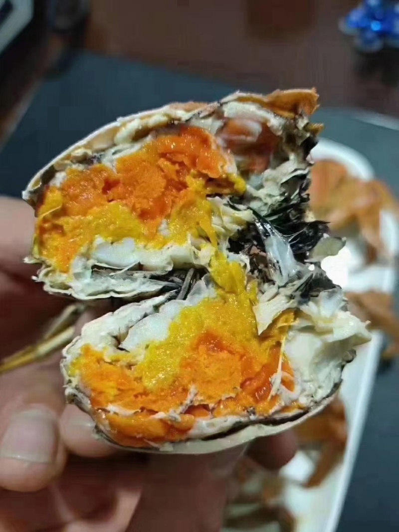 盘锦精品河蟹稻田蟹水库蟹青壳白板货源充足