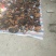 生长在海拔二千多米以上的野生桦树茸黑金刚