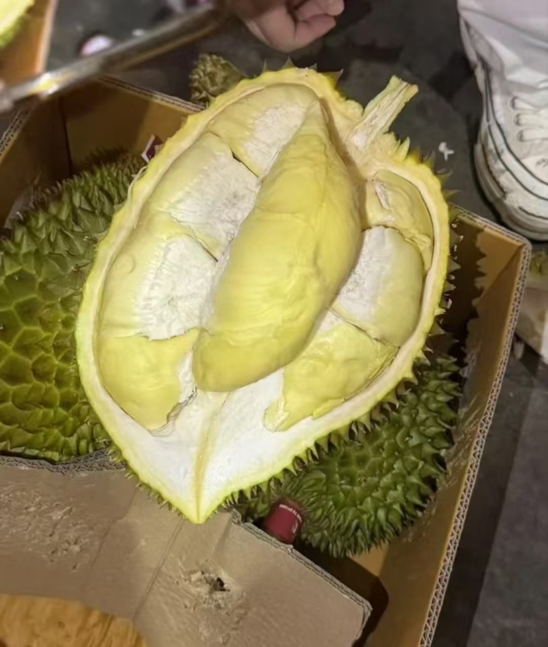 金枕榴莲一手批发价格