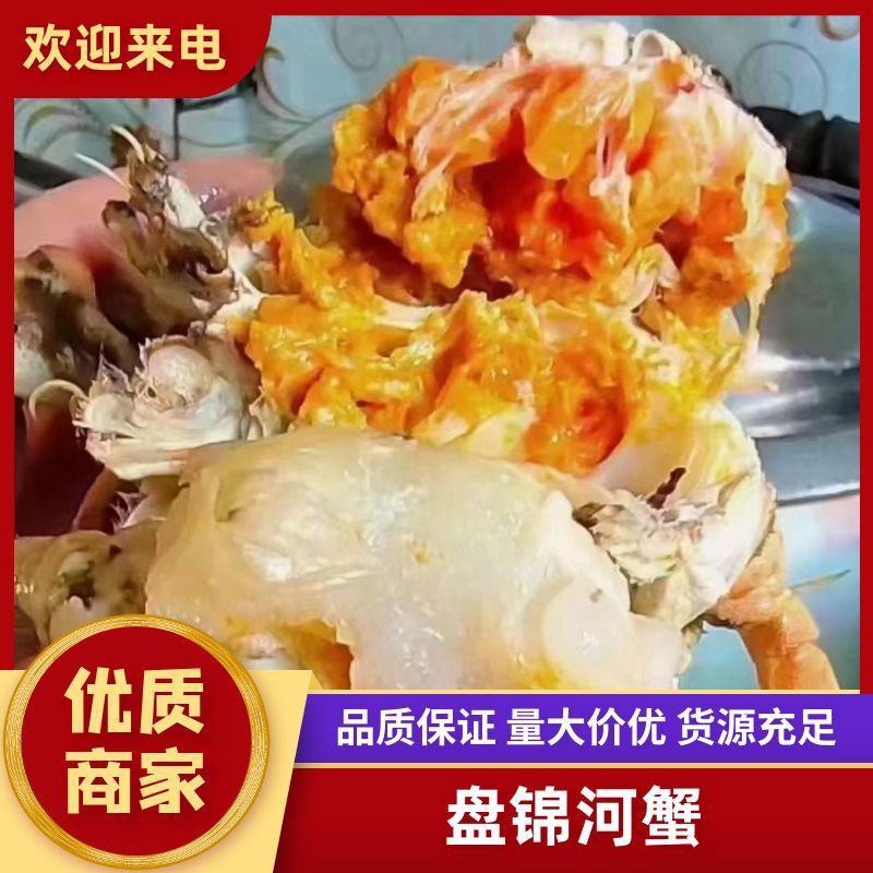 盘锦河蟹产地一手货源大量批发，社区团购，自助餐，保质保量