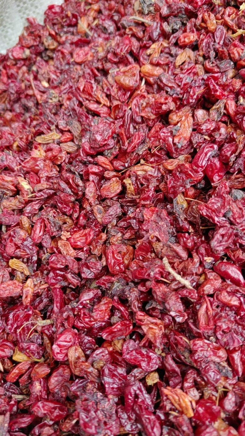 山茱萸（本地特产六味地黄丸主药，全国大山茱萸产地）