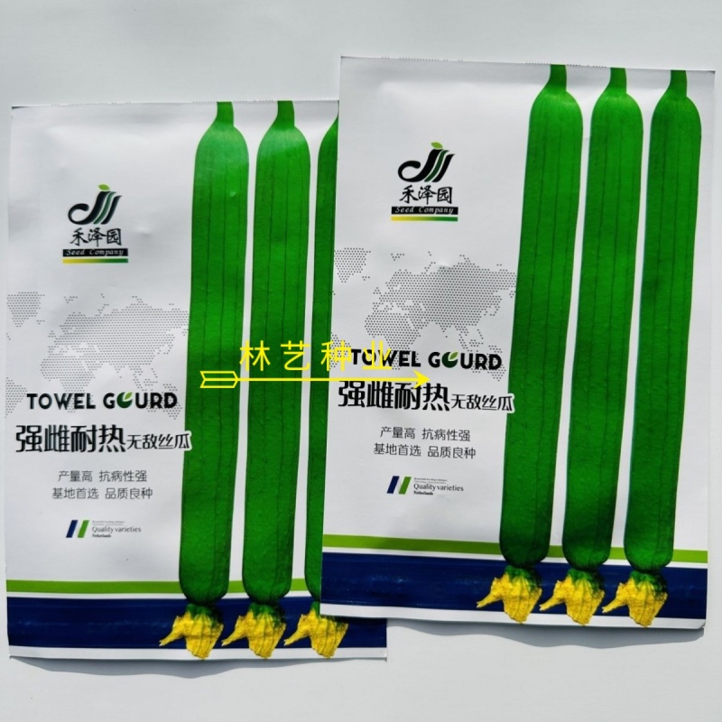 强雌耐热**丝瓜种子强雌型早熟长棒丝瓜种子春秋季长丝瓜种