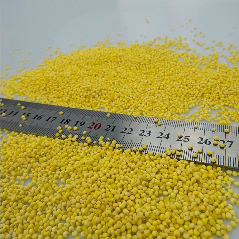 阳原大黄米，厂家直发，品质保证，可视频看货，量大从优