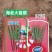 增产套餐小麦玉米洋葱产量高抗病抗虫