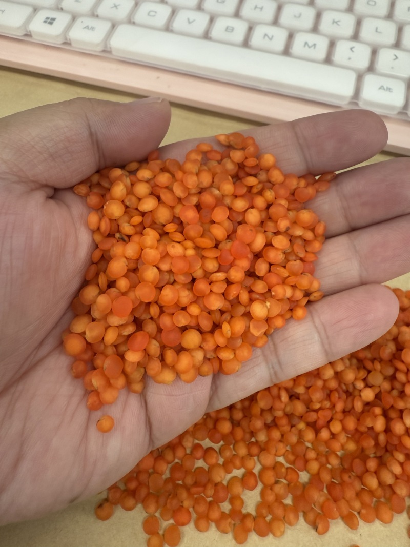 红扁豆干豆，一手货源，价格实惠，可视频看货，欢迎选购