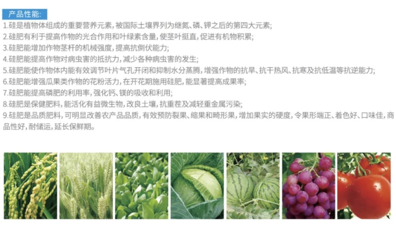 超临界流体硅肥增产抗逆保花促果抗病抗虫