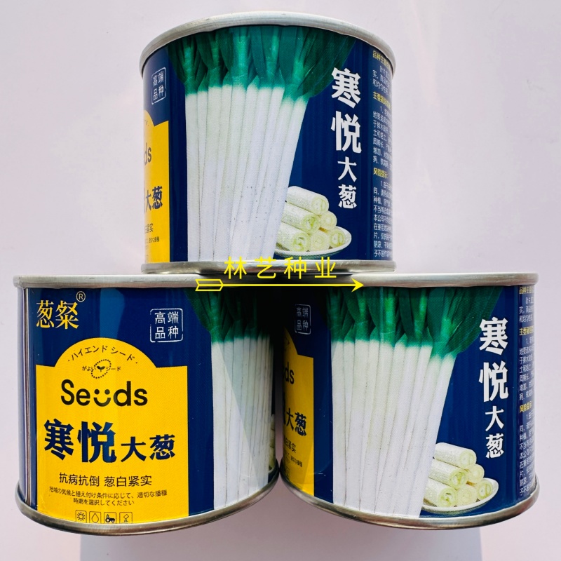 寒悦大葱种子葱白粗壮紧实叶片直立腊粉厚耐寒耐热大田杂交葱