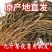 【宁波】梅干菜免洗雪里蕻正宗农家特产扣肉雪里红干货菜类一整箱
