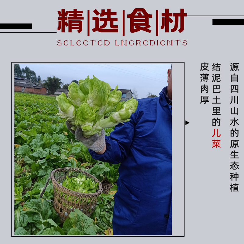四川麻辣儿菜片多头菜新鲜儿子青菜干咸菜嫩娃娃川渝特产下饭菜