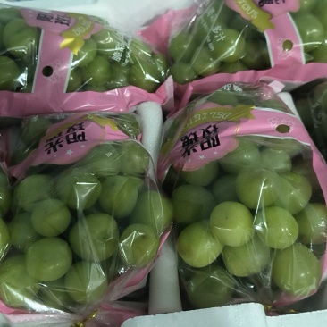 精品阳光玫瑰，皮薄肉细，口感甜，个头大。
