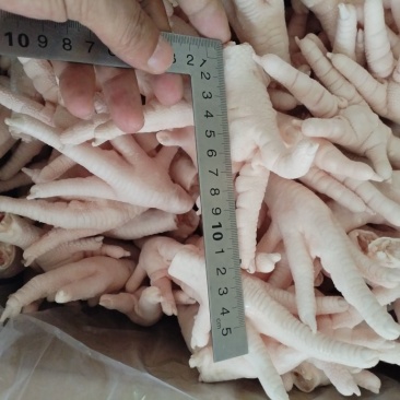 精品鸡爪