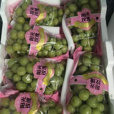 湖北松滋阳光玫瑰个头大，果面干净，细皮嫩肉，颜色漂亮。
