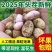 25年鲜花生小白沙系列鲜花生籽粒饱满货源充足可发全国