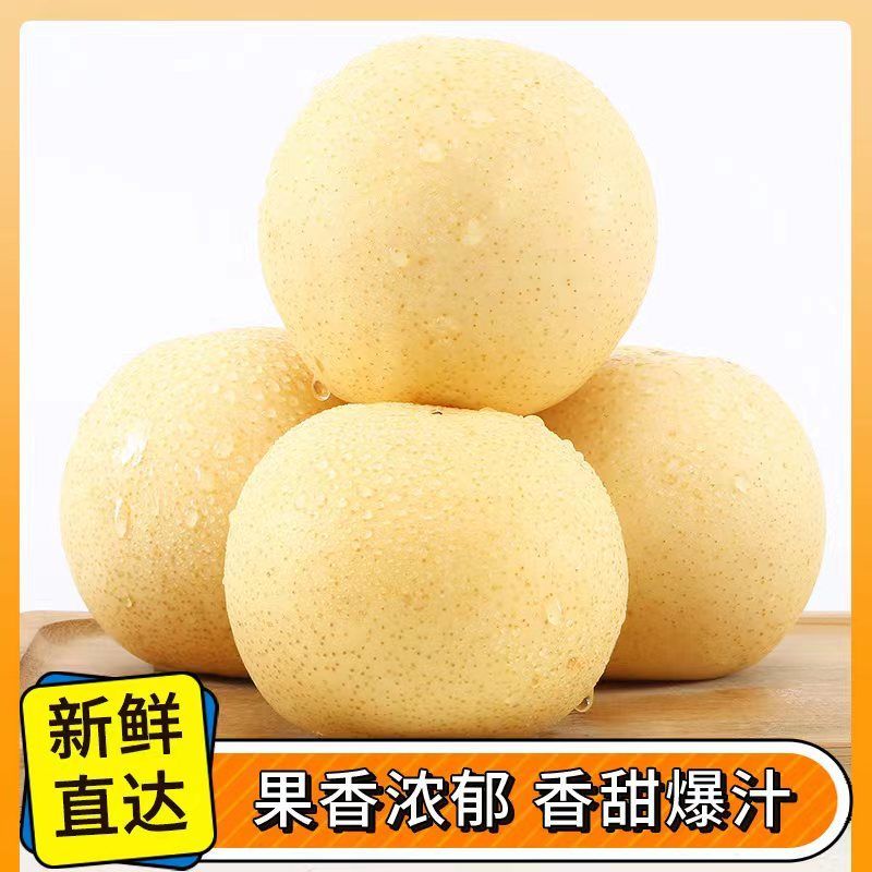 襄阳皇冠梨产地直供全国发货可视频看货欢迎采购量大从优