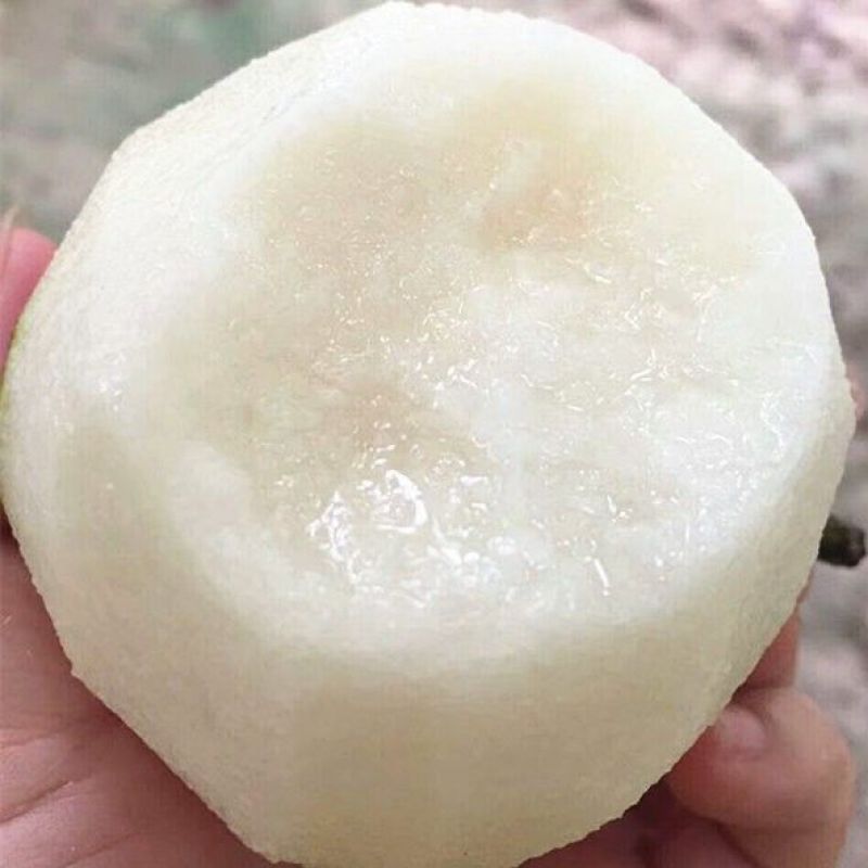襄阳黄花梨产地直供全国发货量大从优支持视频看货