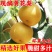 襄阳黄花梨产地直供全国发货量大从优支持视频看货