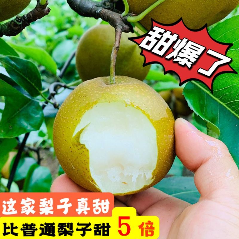 襄阳黄花梨产地直供全国发货量大从优支持视频看货