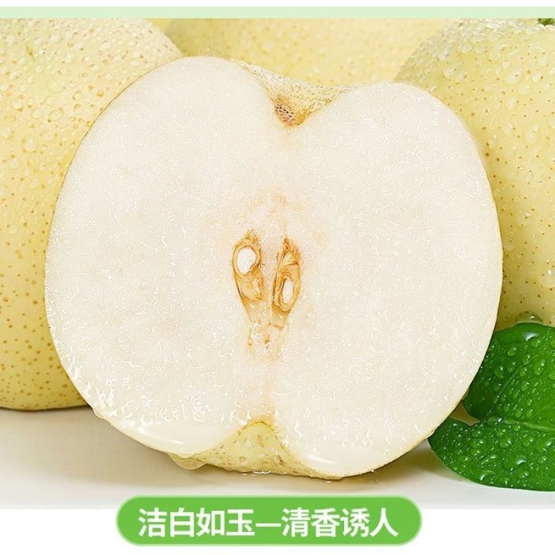 襄阳皇冠梨产地直供全国发货量大从优支持视频看货