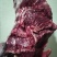 鲜牛肉批发