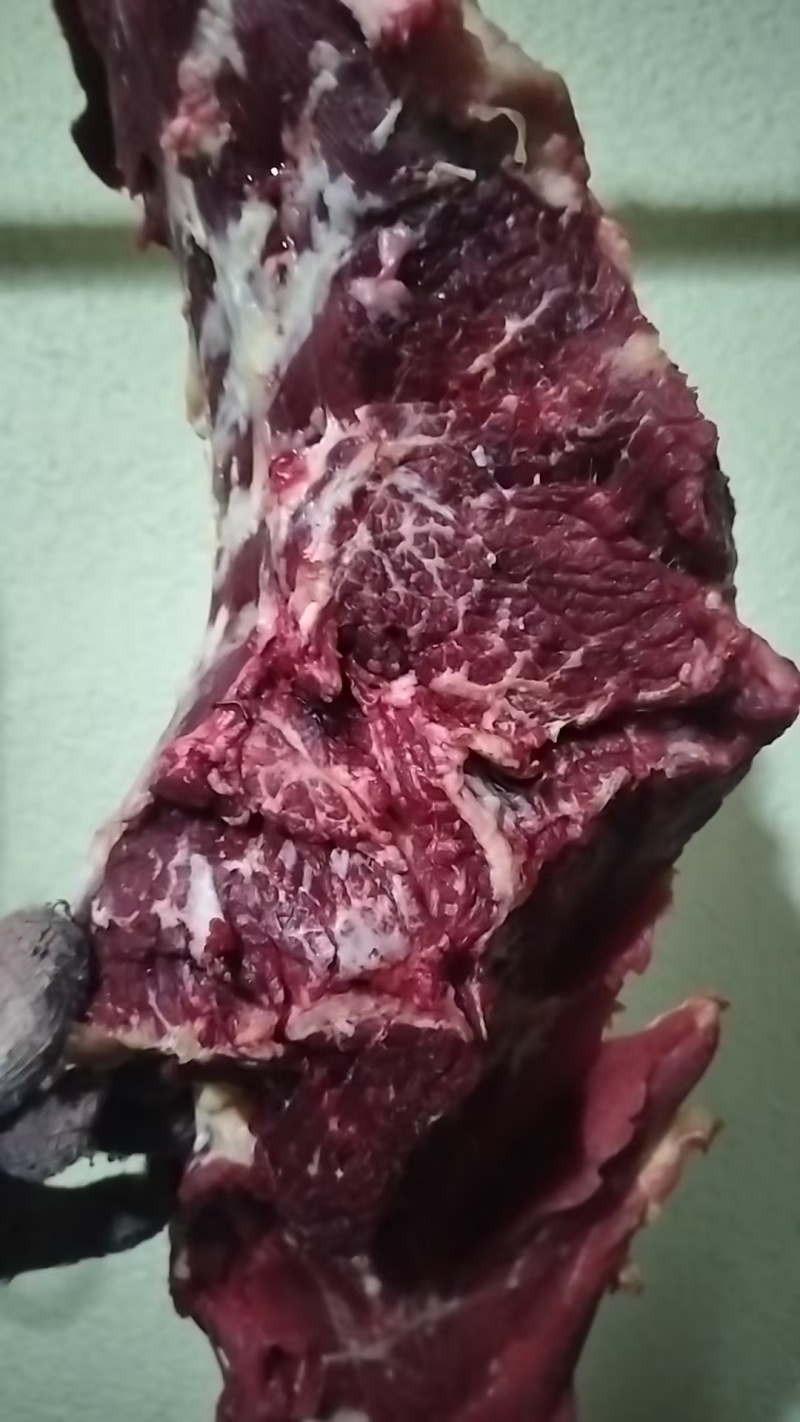 鲜牛肉批发