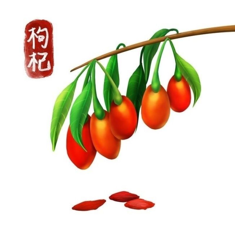 甘肃红枸杞无熏硫***基地直销批发零售量大优惠一手货源