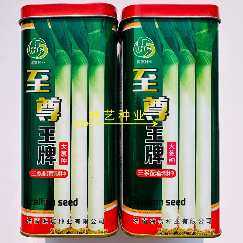 至尊王牌大葱种子耐寒山东章丘铁杆钢杆大葱种孑东北抗病毒