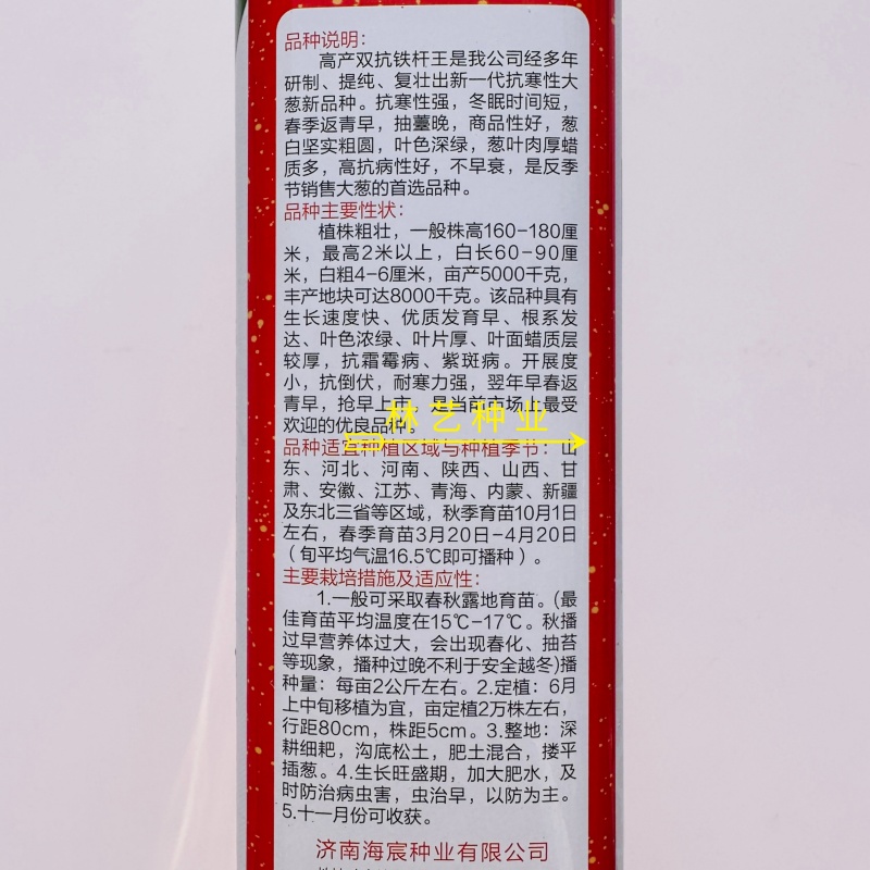 双抗铁杆王大葱种子抗病抗倒伏葱白坚实粗圆叶色深绿春秋种植