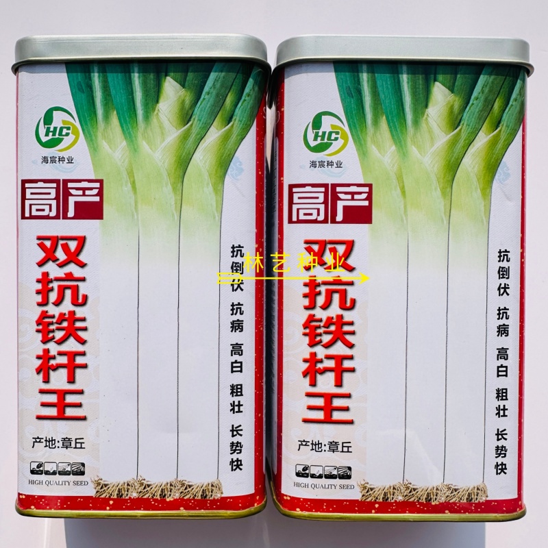 双抗铁杆王大葱种子抗病抗倒伏葱白坚实粗圆叶色深绿春秋种植