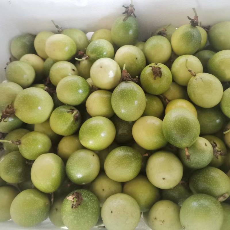 黄金百香果