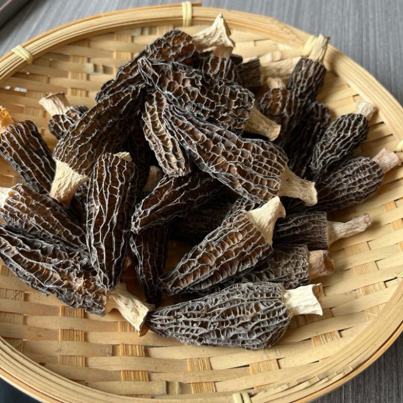 六妹羊肚菌，产地四川眉山，自己家种植，欢迎来电洽谈
