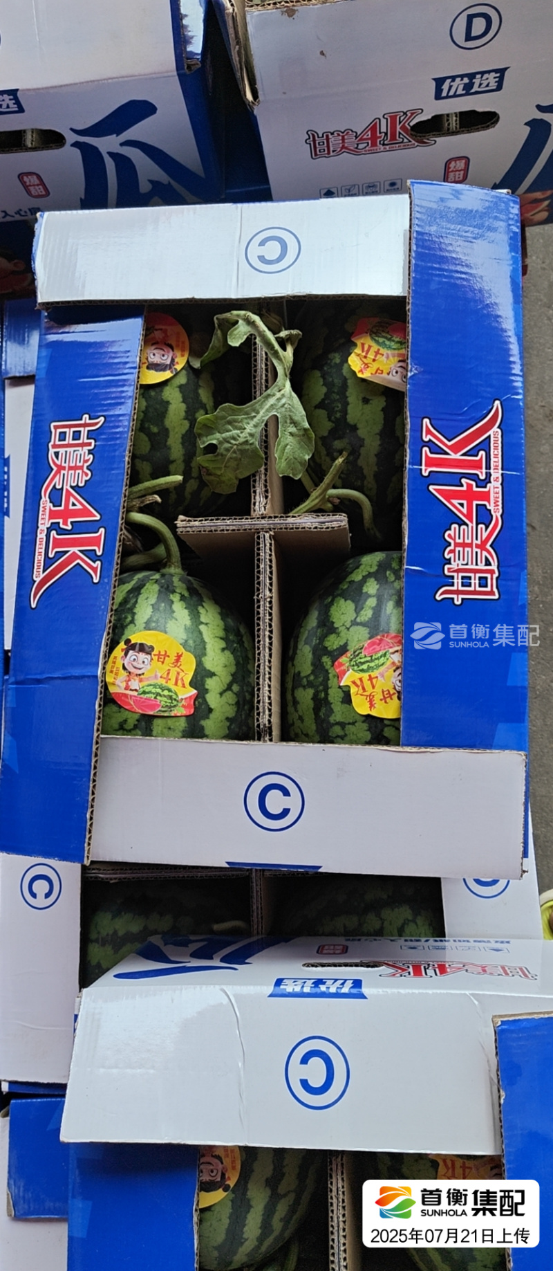 甘肃A级甘美4K西瓜，甘肃一级精品甘美4K西瓜