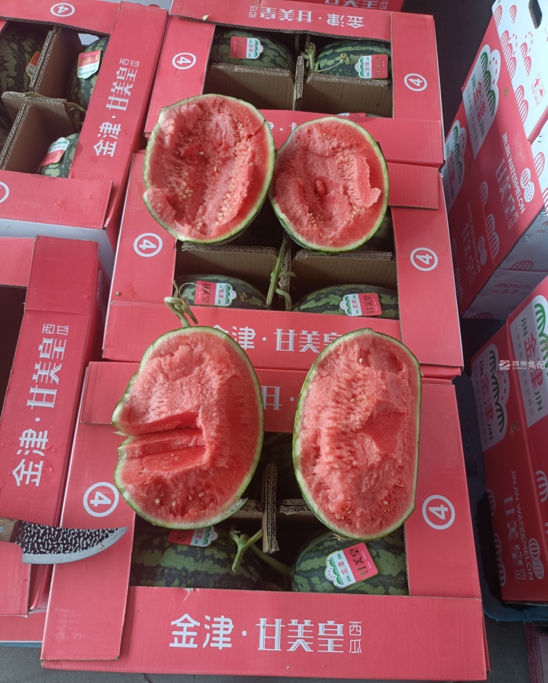 甘肃A级甘美4K西瓜，甘肃一级精品甘美4K西瓜
