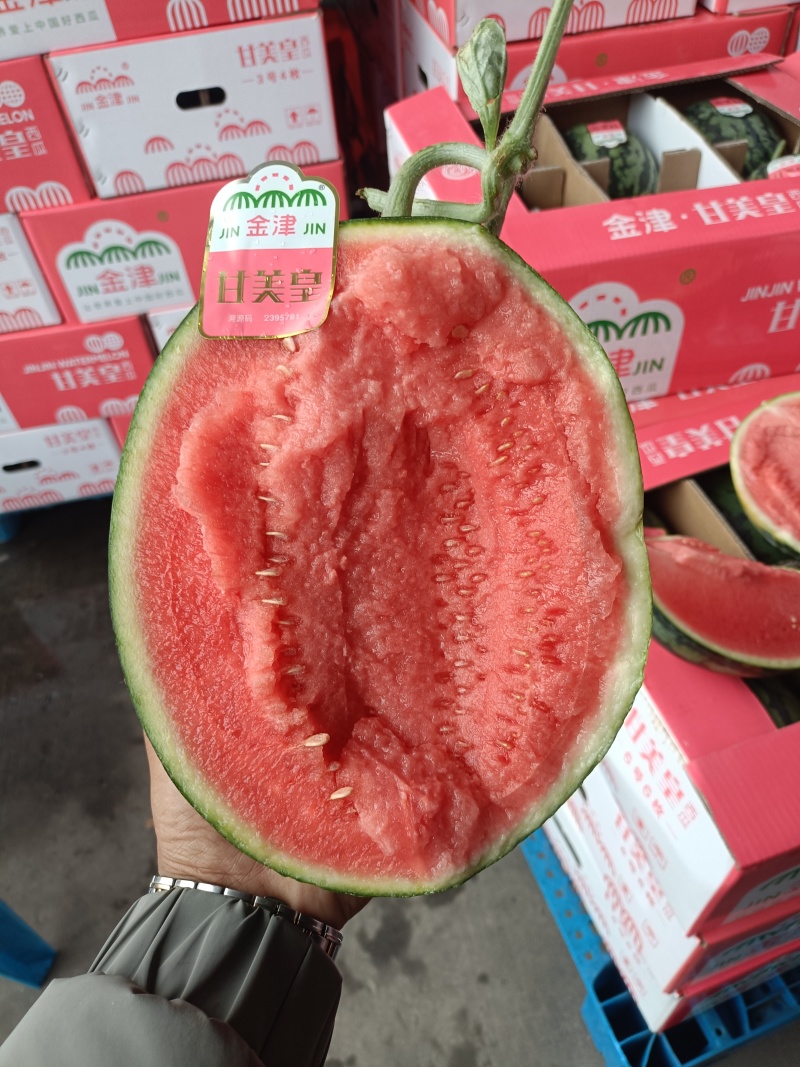 甘肃A级甘美4K西瓜，甘肃一级精品甘美4K西瓜