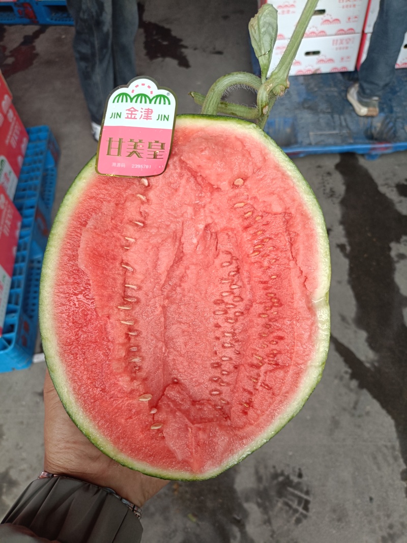 甘肃A级甘美4K西瓜，甘肃一级精品甘美4K西瓜