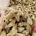 辛夷花去梗大花选货各种规格2斤包邮量大优惠