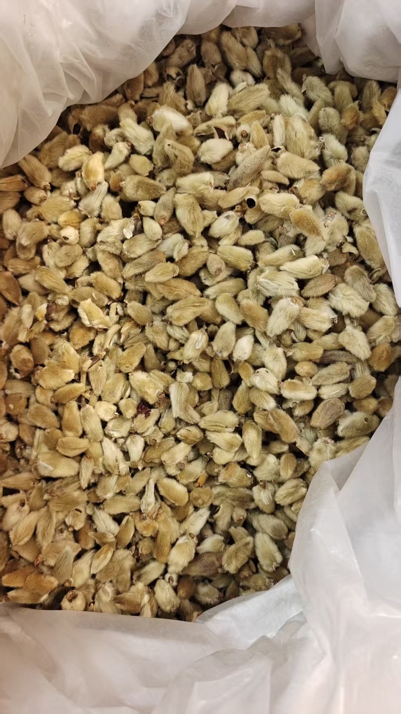 辛夷花去梗大花选货各种规格2斤包邮量大优惠