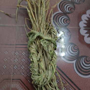 桑枝皮(干皮)欢迎各位老板提前预定下单