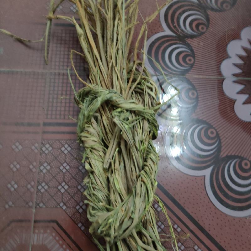 桑枝皮(干皮)欢迎各位老板提前预定下单