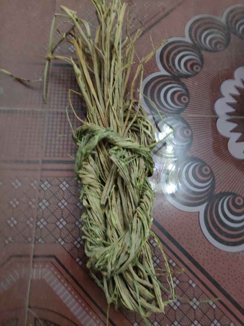 桑枝皮(干皮)欢迎各位老板提前预定下单