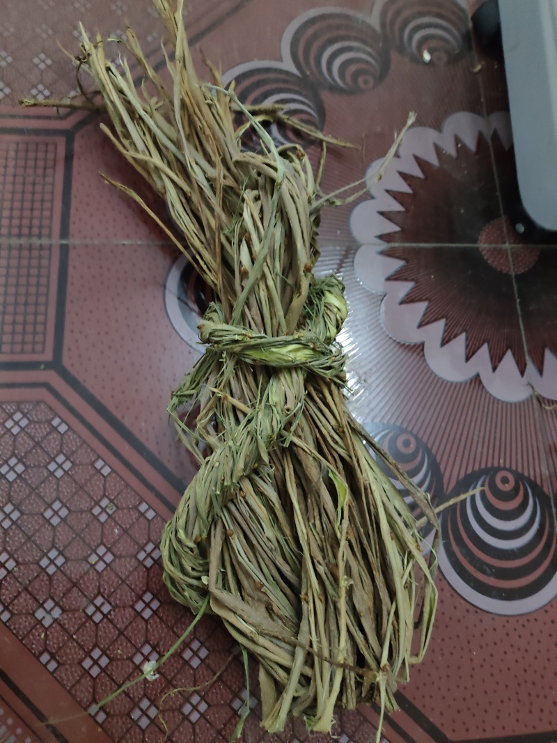 桑枝皮(干皮)欢迎各位老板提前预定下单