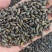 五灵脂/飞天老鼠屎/鼯鼠粪