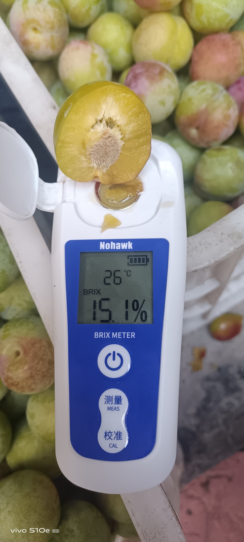 四川～汉源～甜脆李半边红！产地直供一手货源，