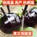 紫把长茄嫁接苗绿把长茄烧烤茄绿冠线茄大量现苗供应包技术