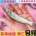 叉尾鮰鱼苗斑点叉尾鮰鱼苗渔场直销量大从优