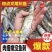 叉尾鮰鱼苗斑点叉尾鮰鱼苗渔场直销量大从优