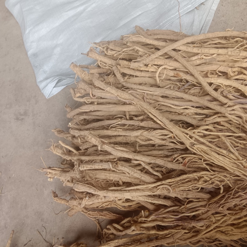 防风精品去头不去尾产地直发价格实惠
