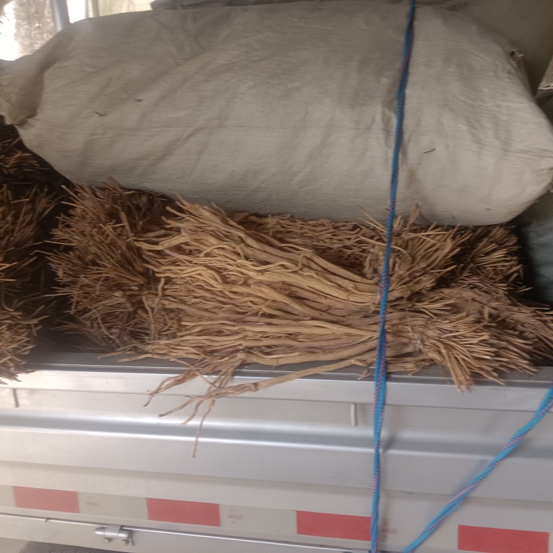 防风精品去头不去尾产地直发价格实惠