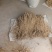 防风精品去头不去尾产地直发价格实惠