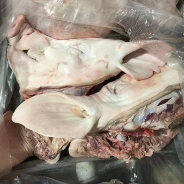 母猪猪头